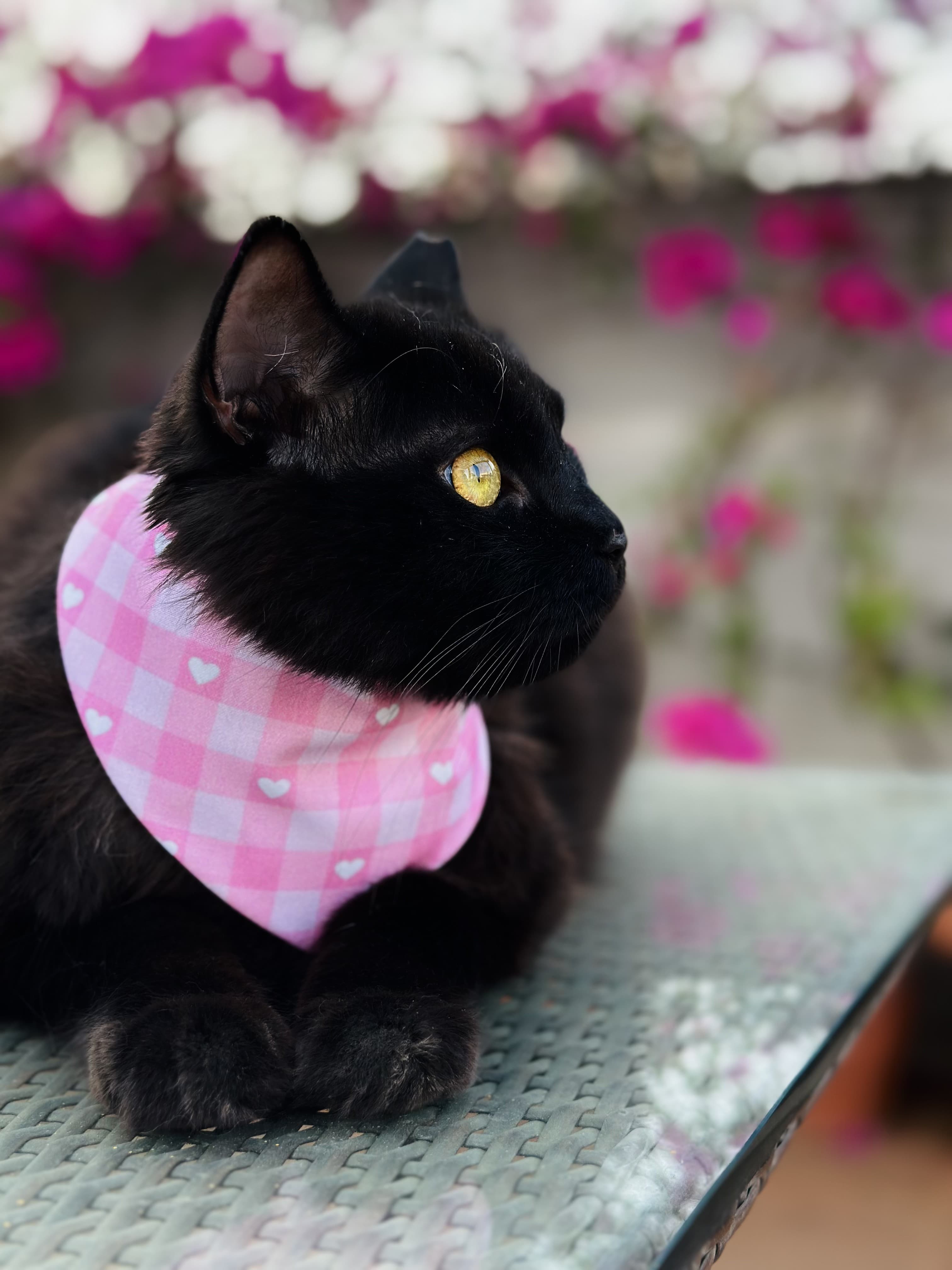 Blossom Heart Bandana — photo 2