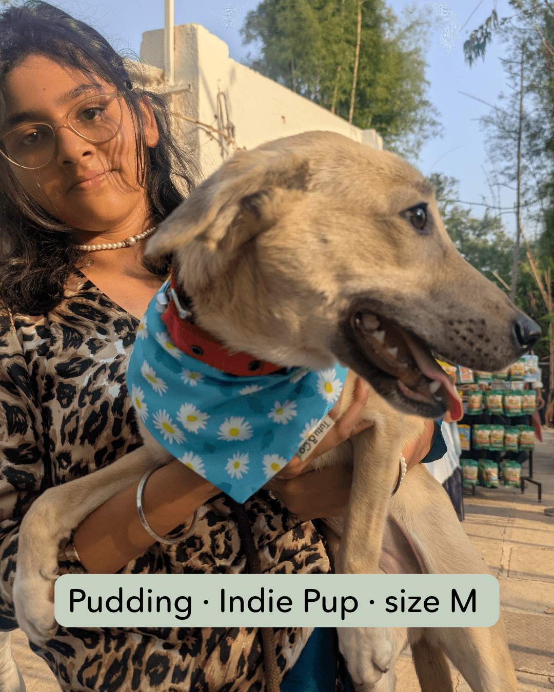 Pudding