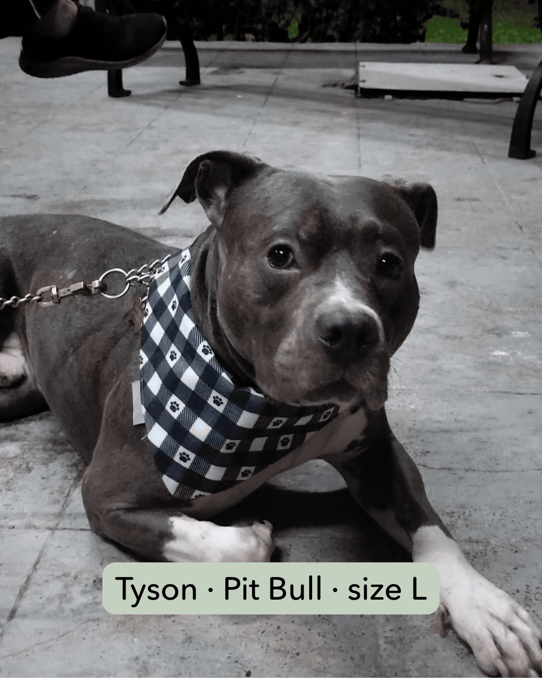 Tyson with Tanvee