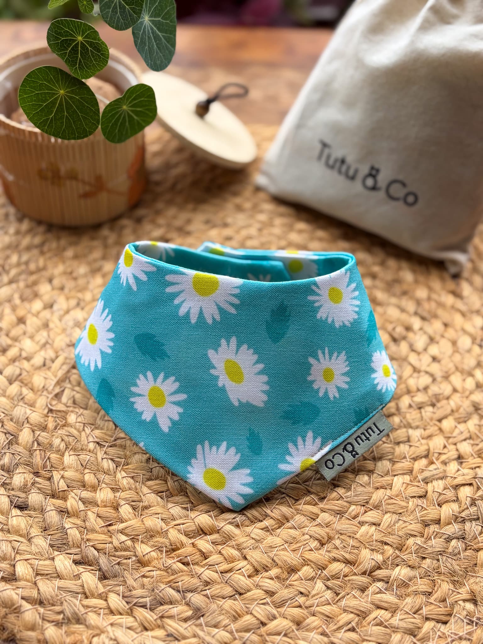 Daisy Skies