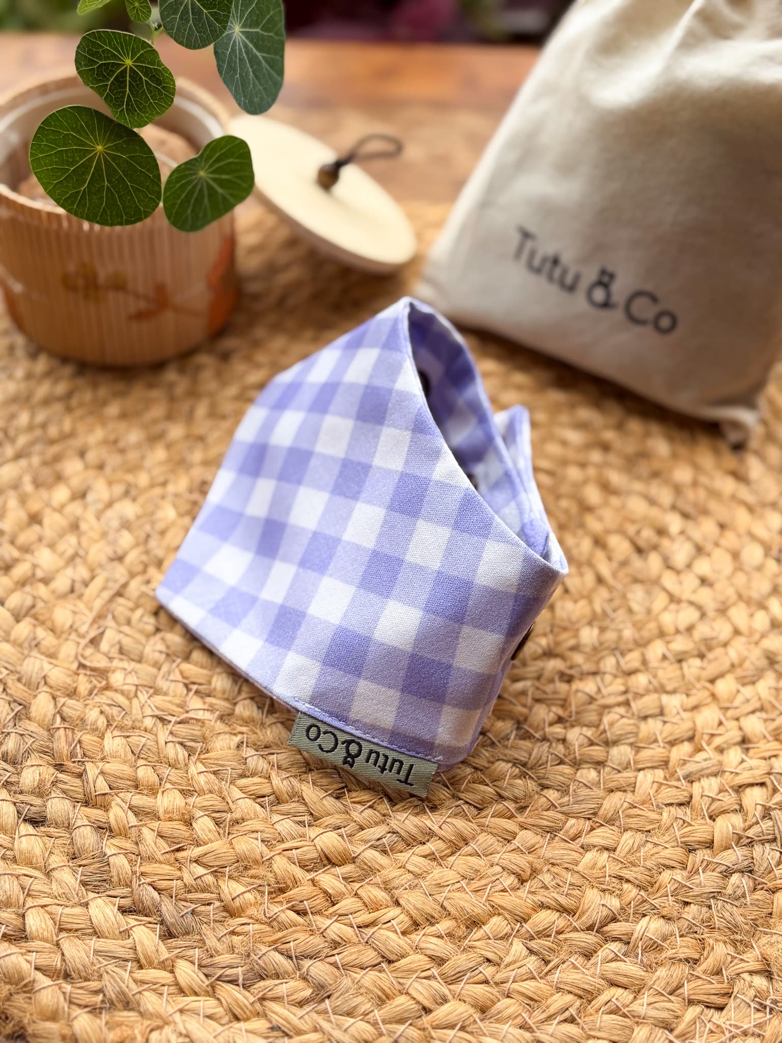 Lavender Picnic — photo 2