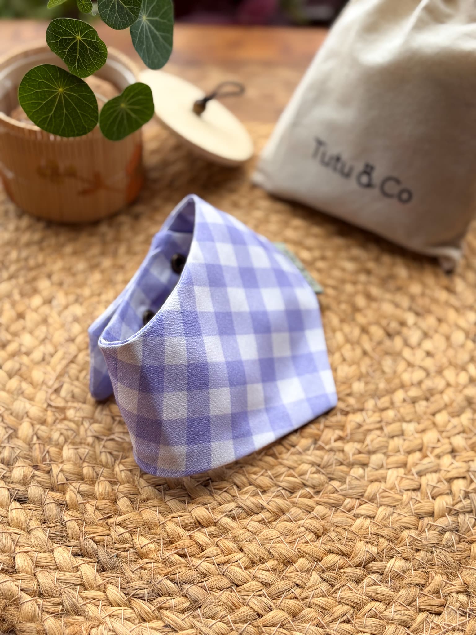Lavender Picnic — photo 3
