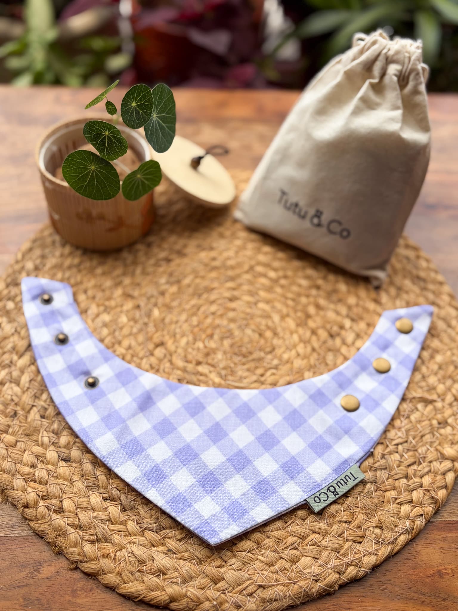 Lavender Picnic — photo 4