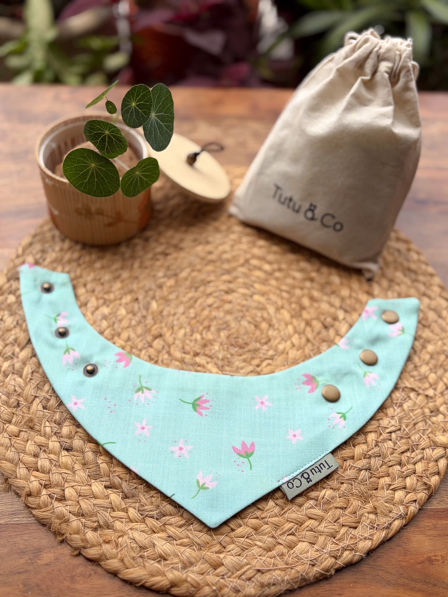 Mint Petals — photo 4