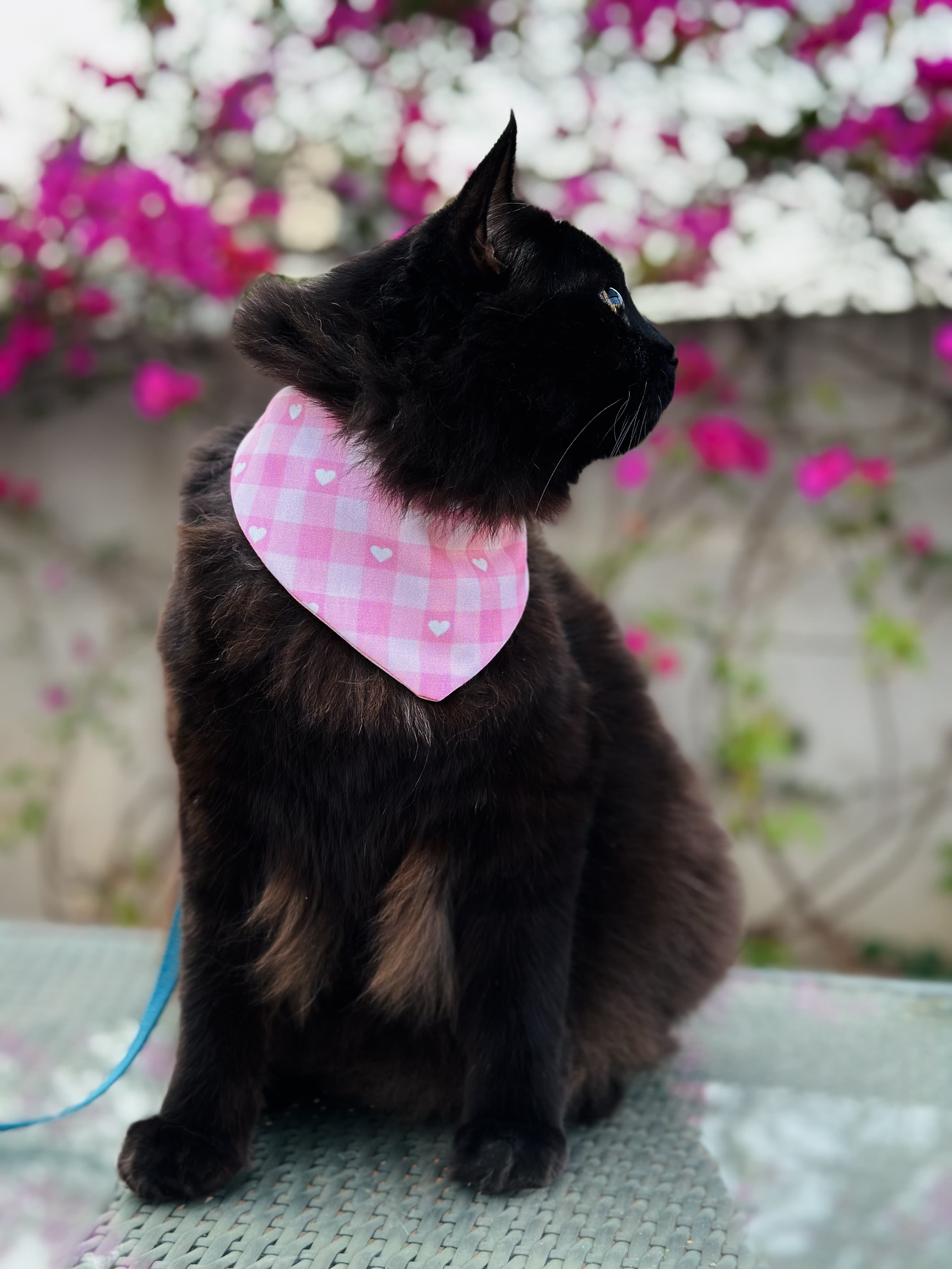Blossom Heart Bandana