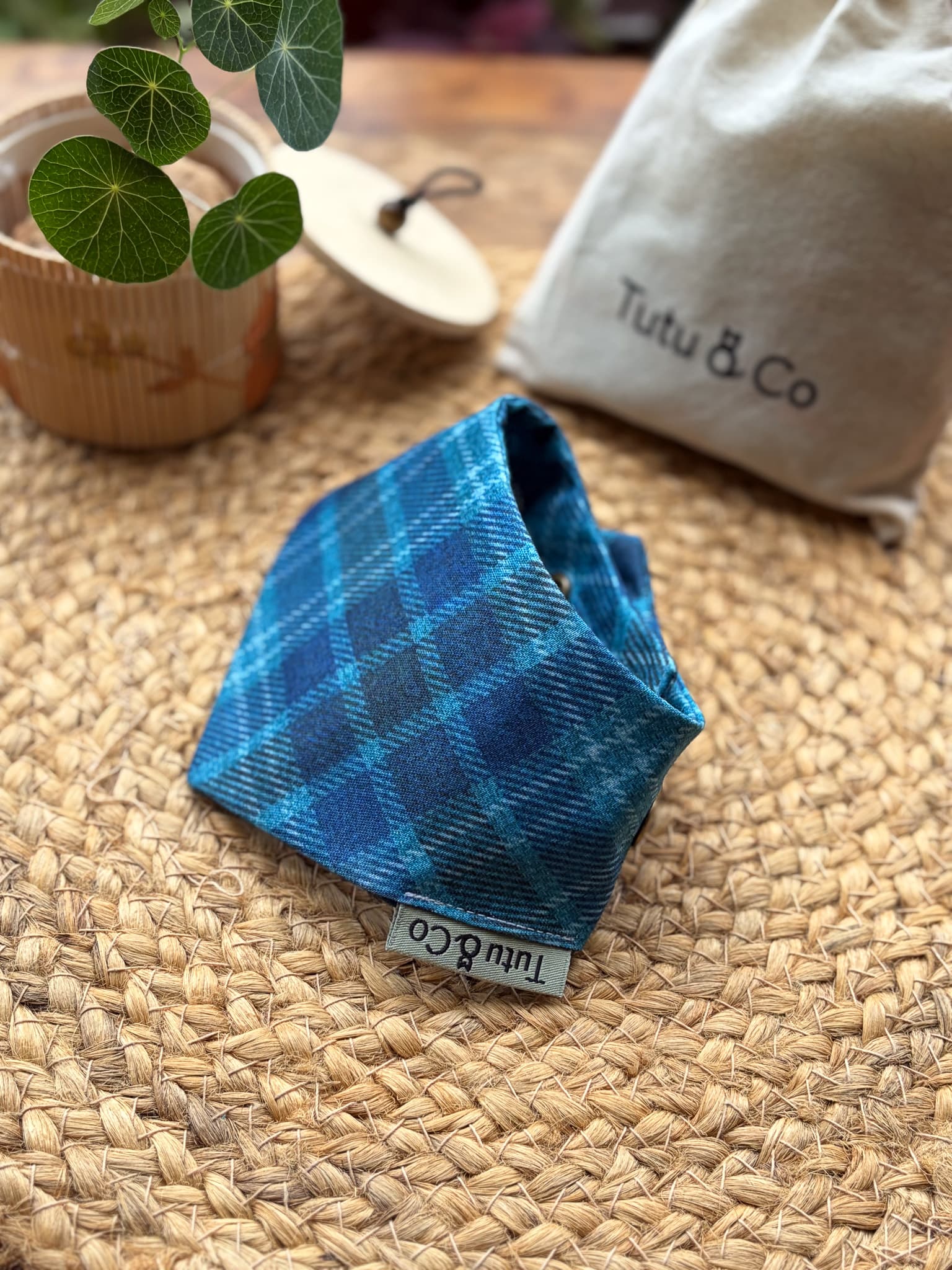Blue Highland — photo 2