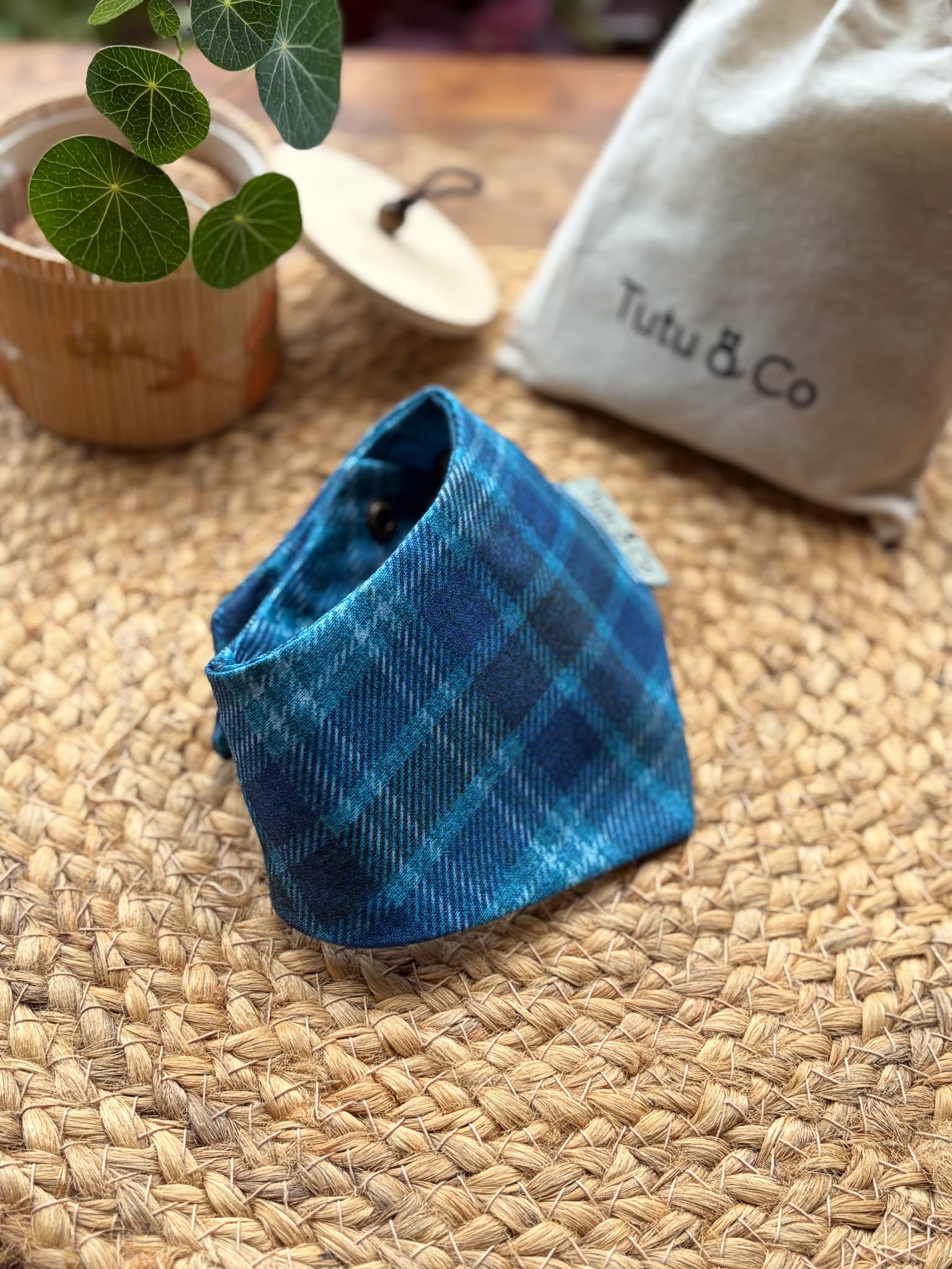 Blue Highland — photo 3