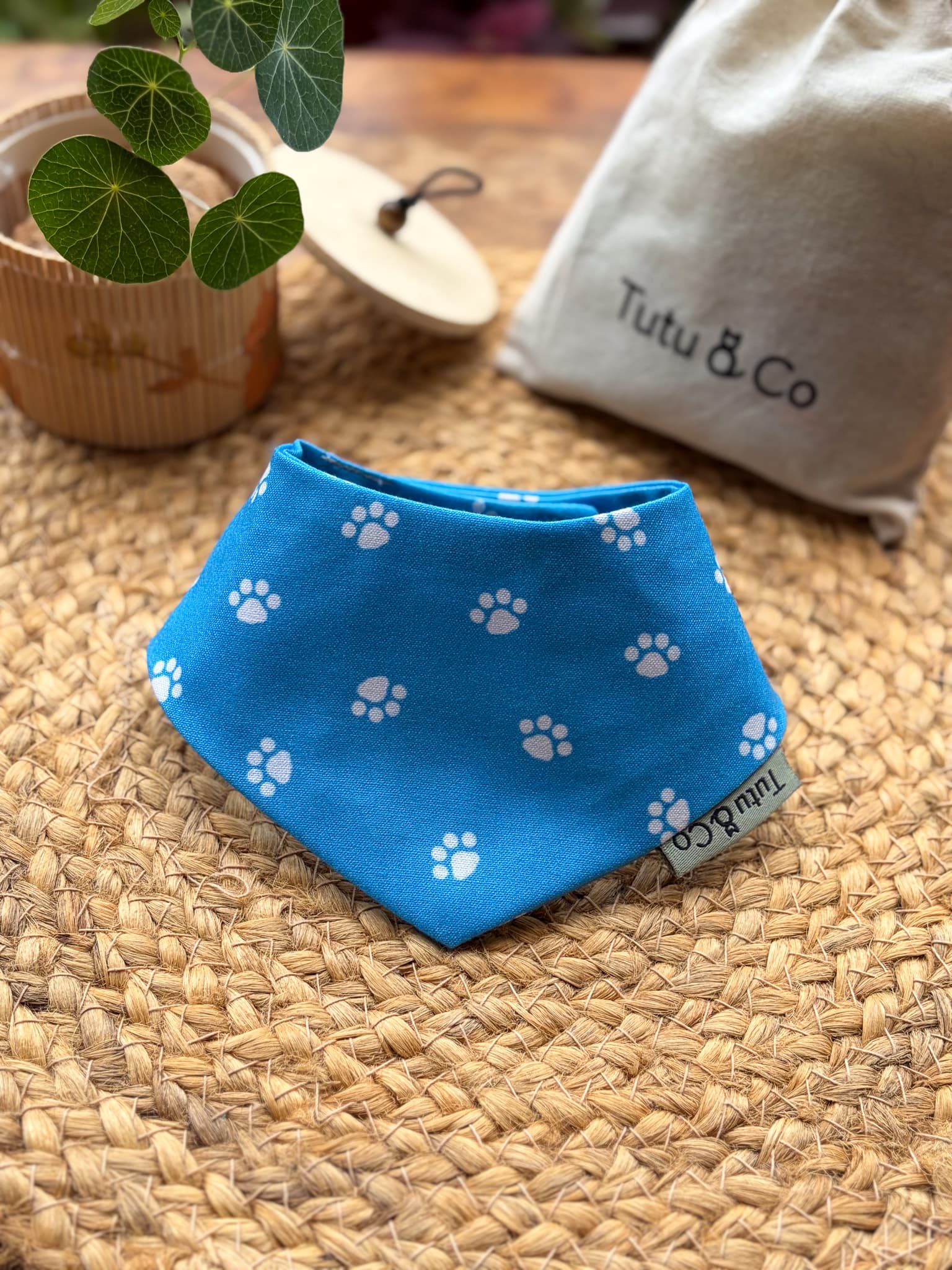 Azure Paws