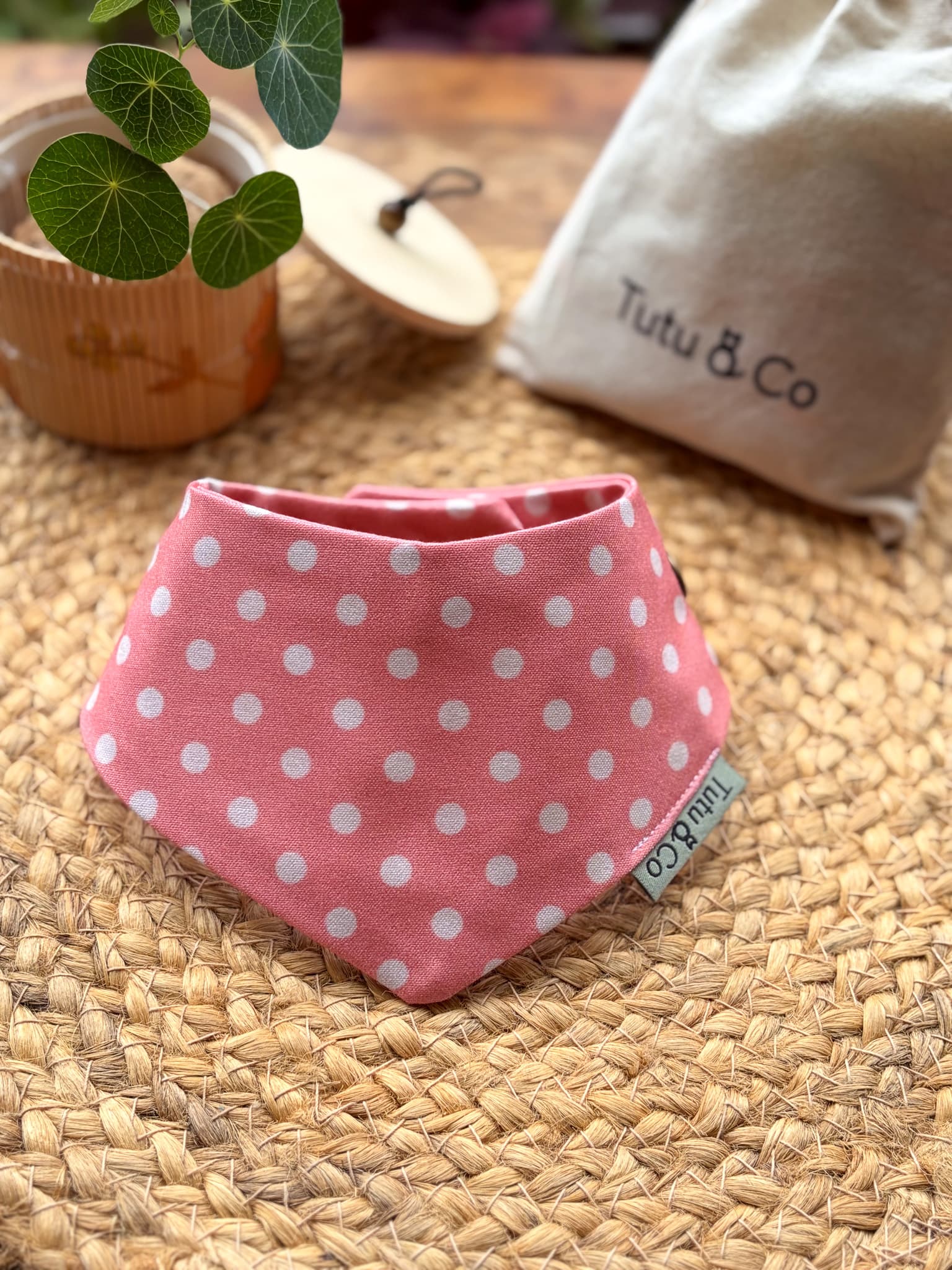 Peach Polka