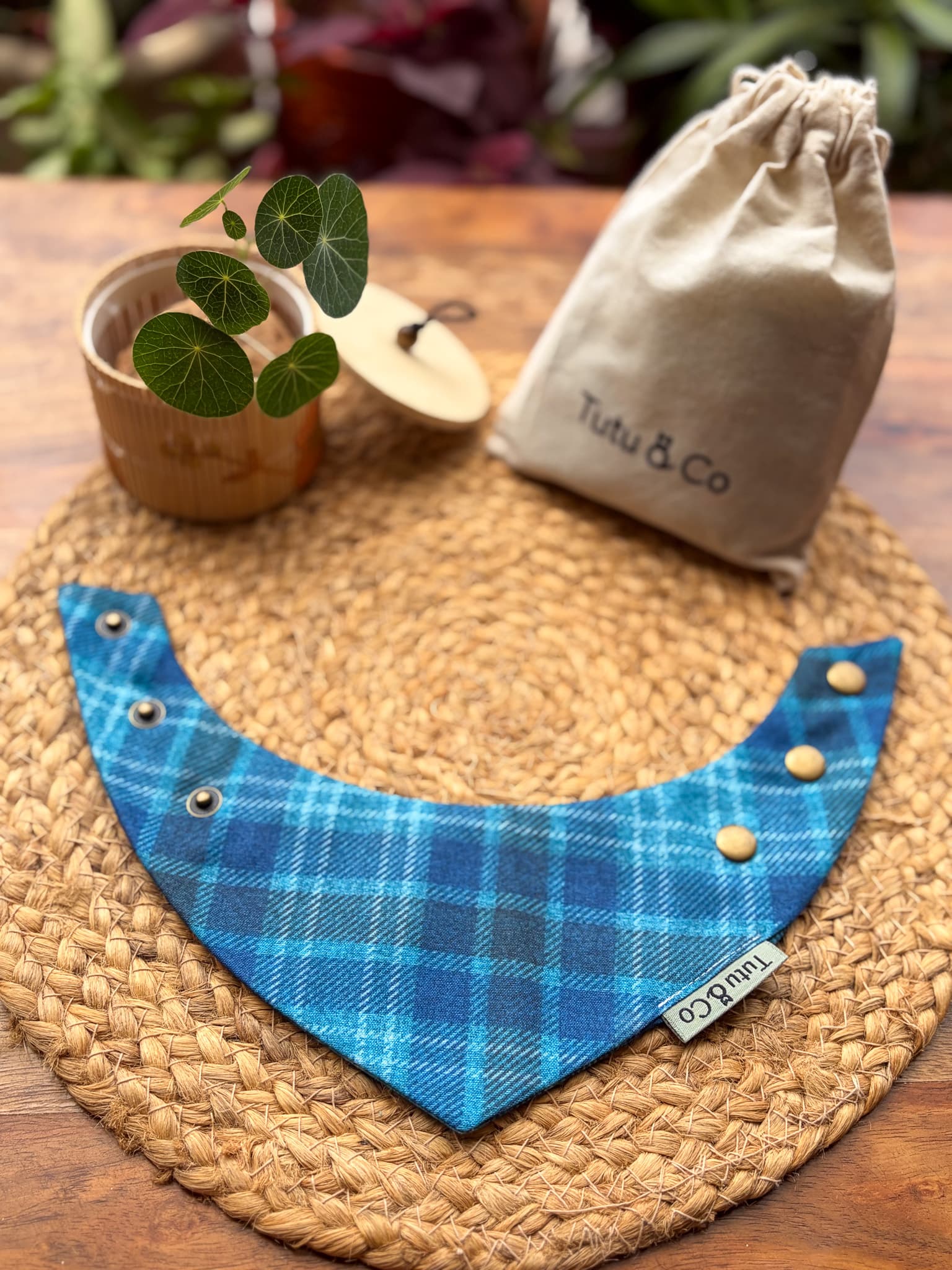 Blue Highland — photo 4