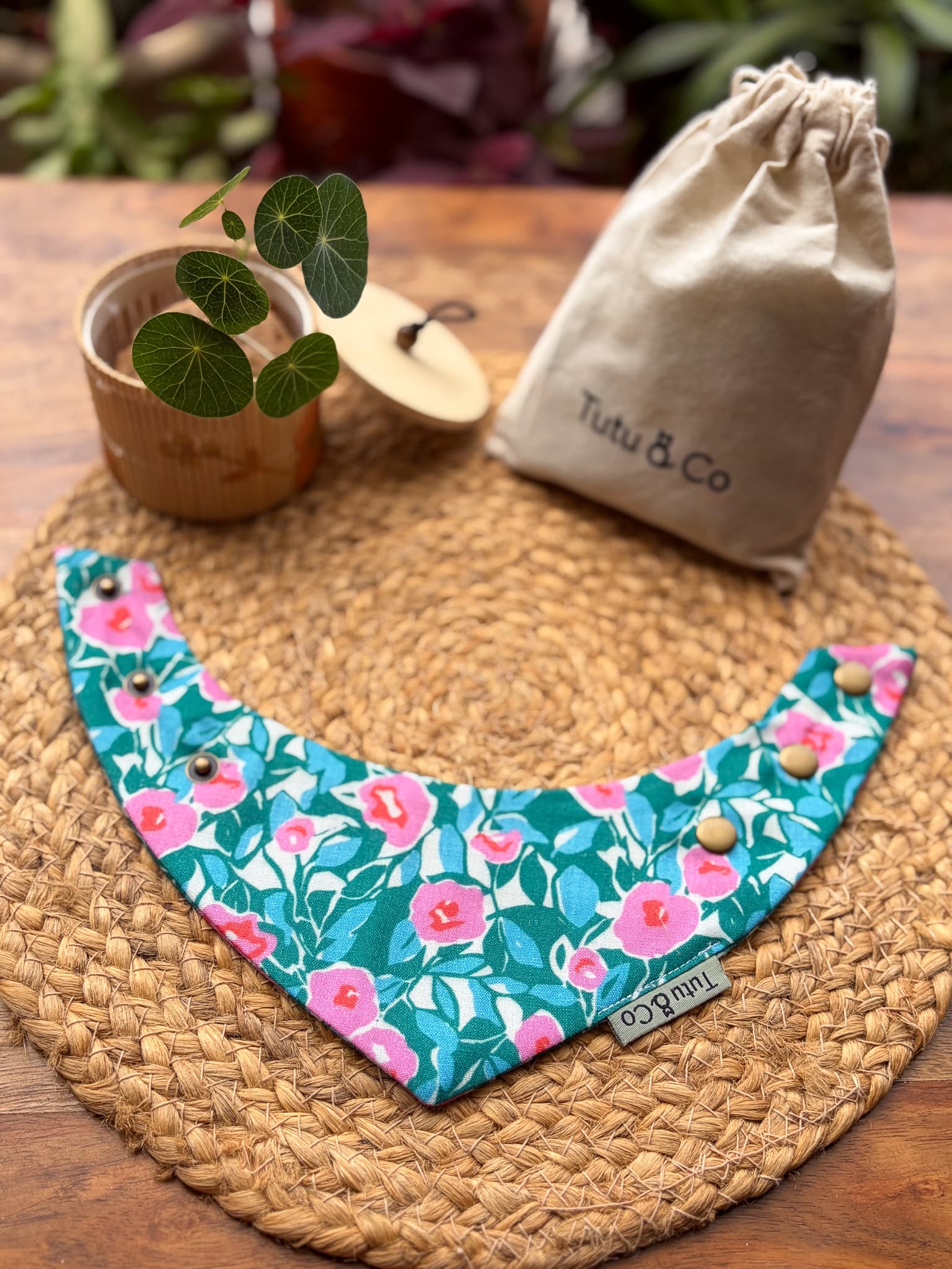 Camellia Cove — photo 4