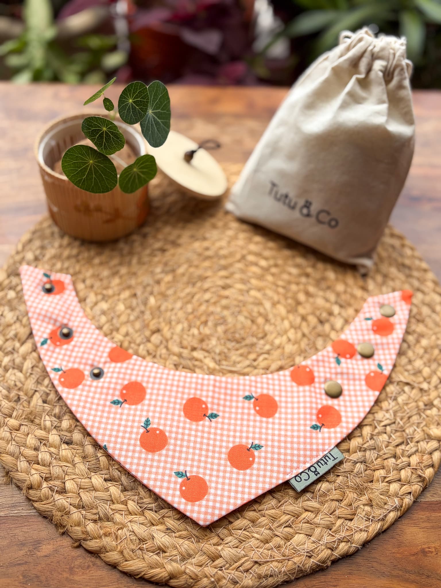 Orange Orchard — photo 4