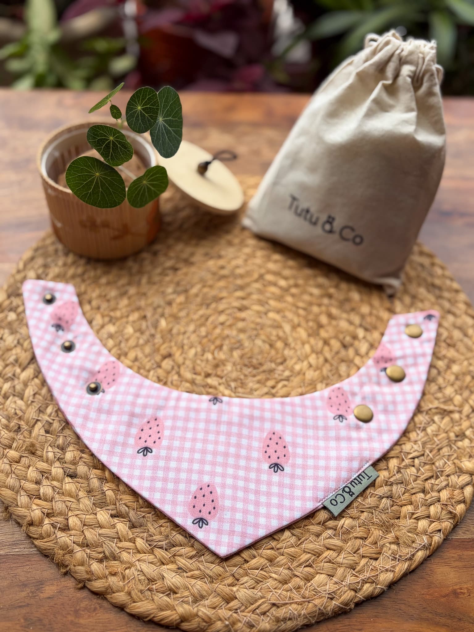 Strawberry Picnic — photo 4