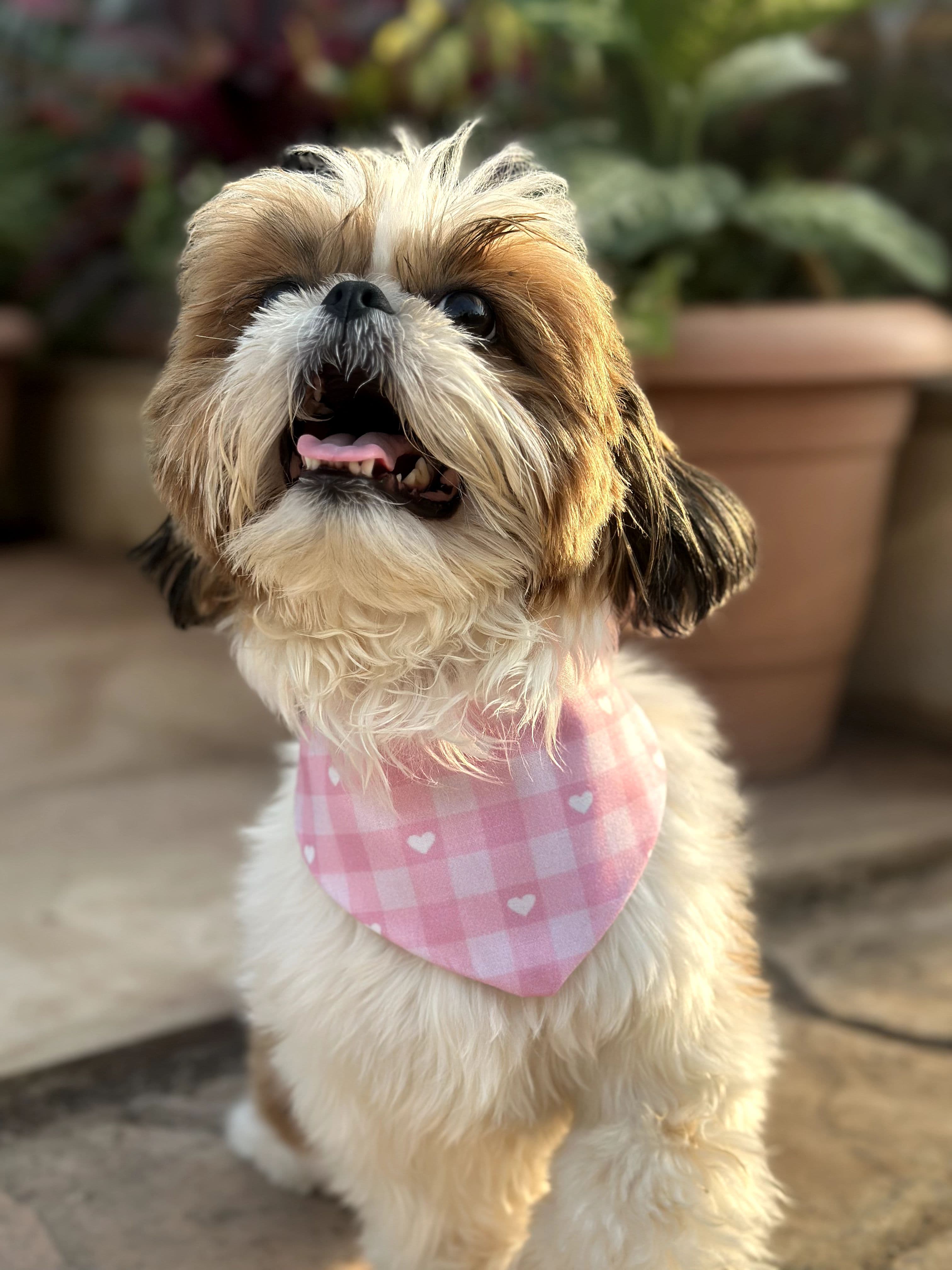 Look cutie